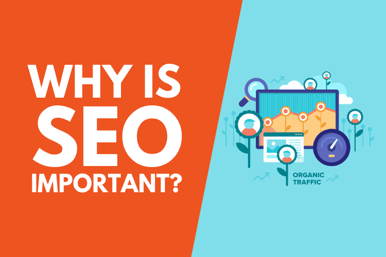 Why SEO to your business